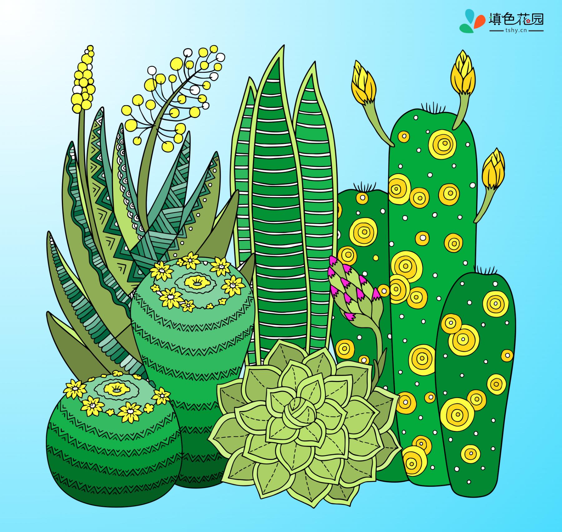 仙人掌