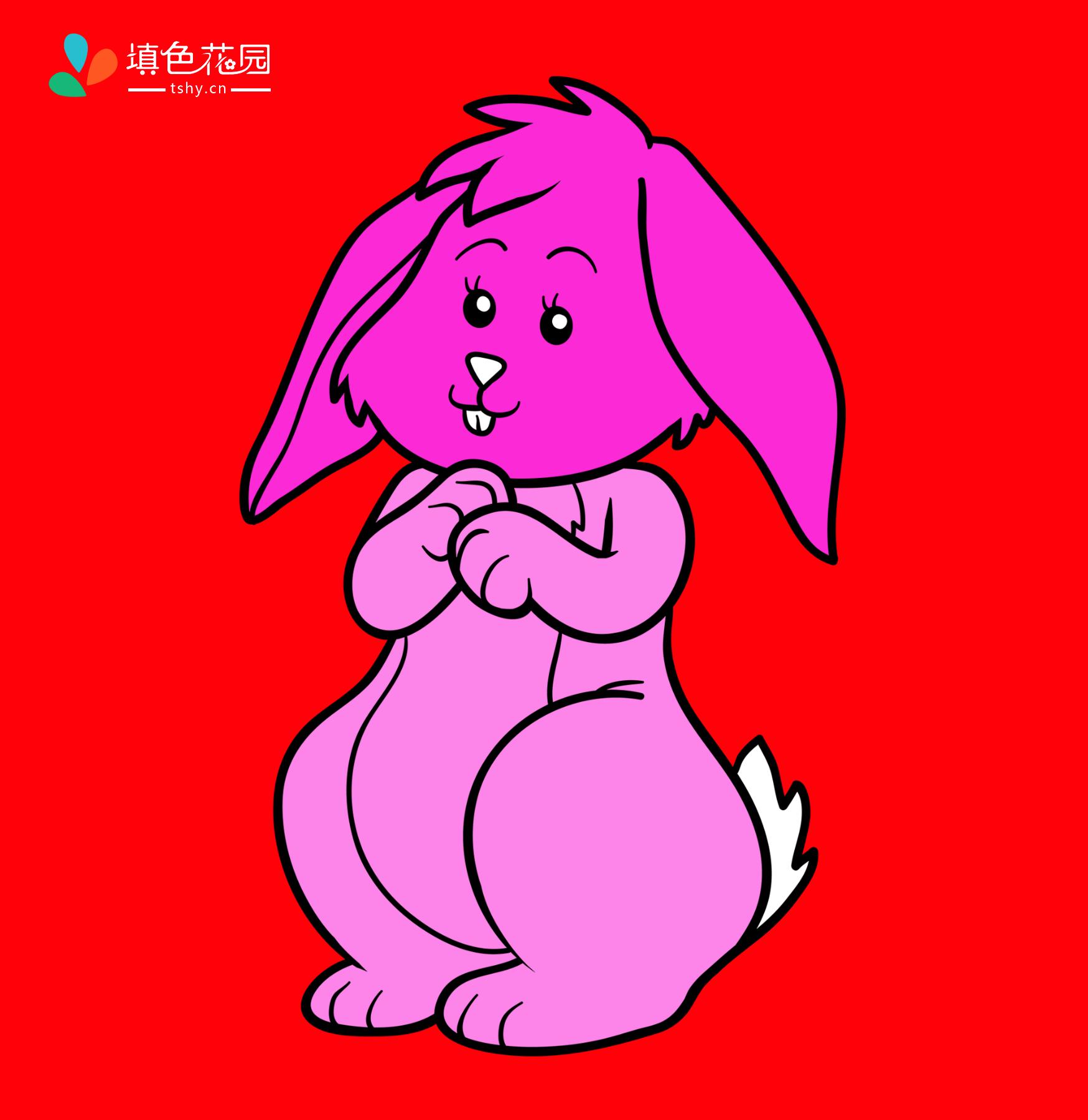 农场动物-兔子