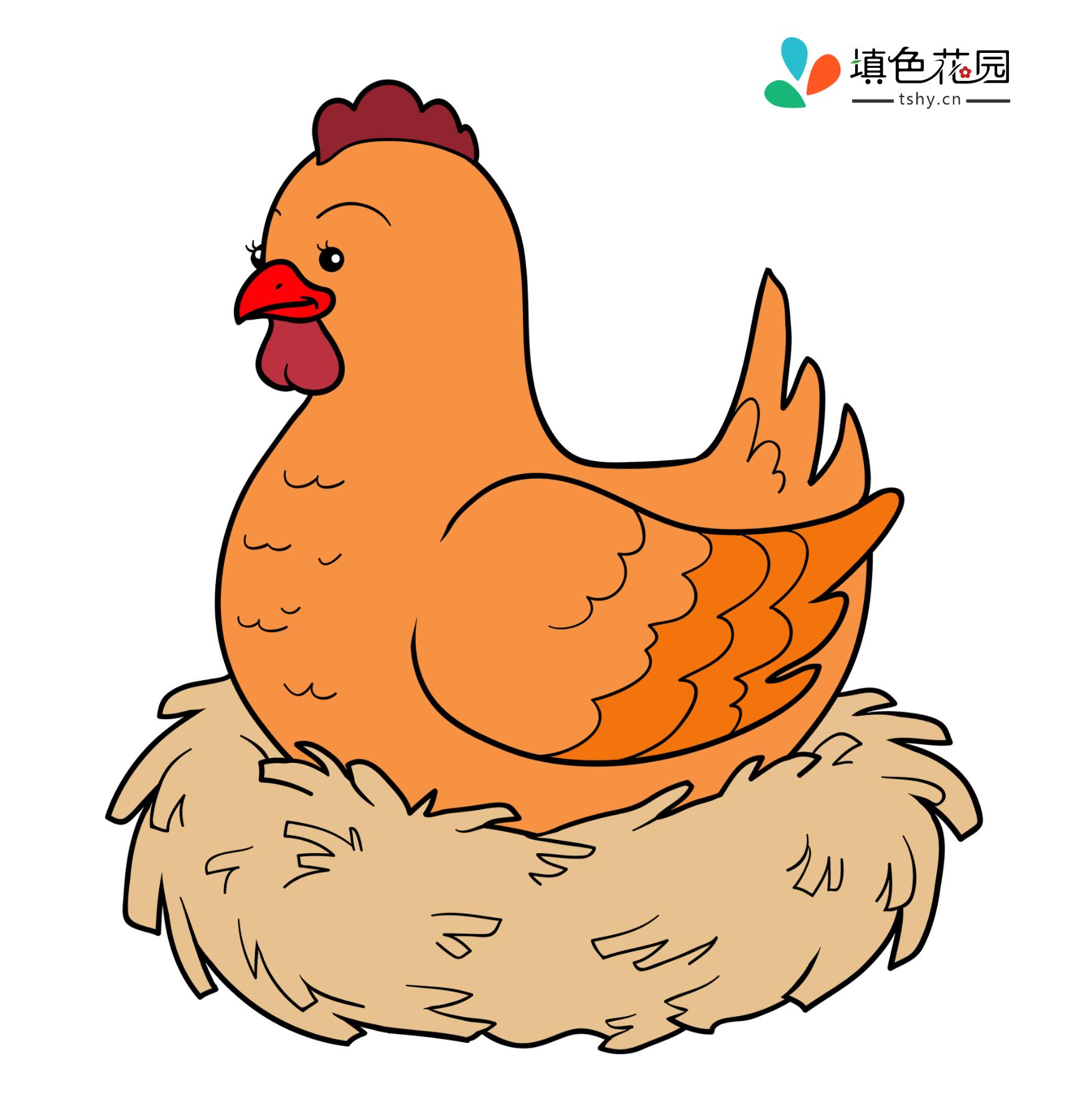 农场动物-鸡