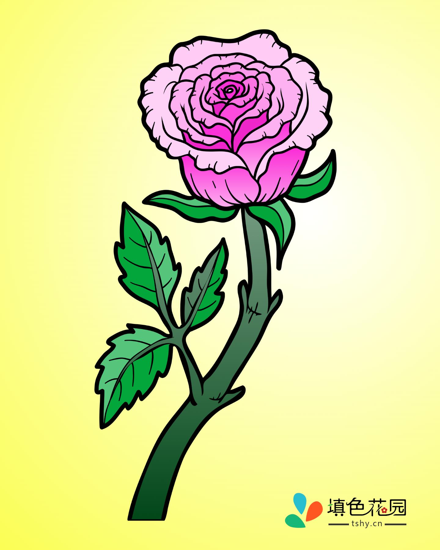 花枝-玫瑰