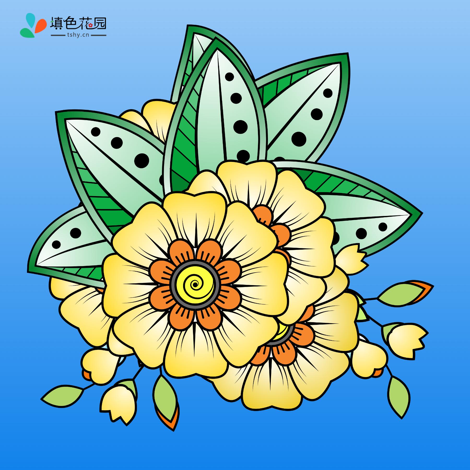 花朵