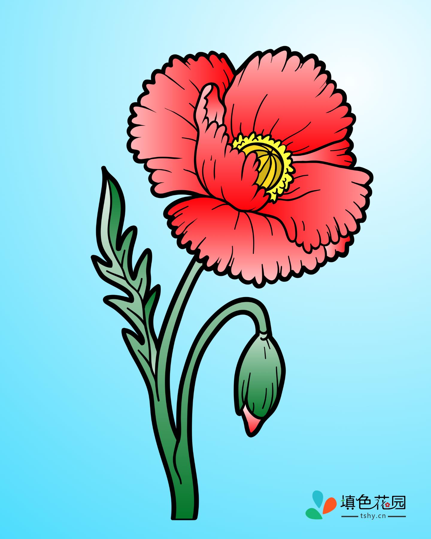 花枝