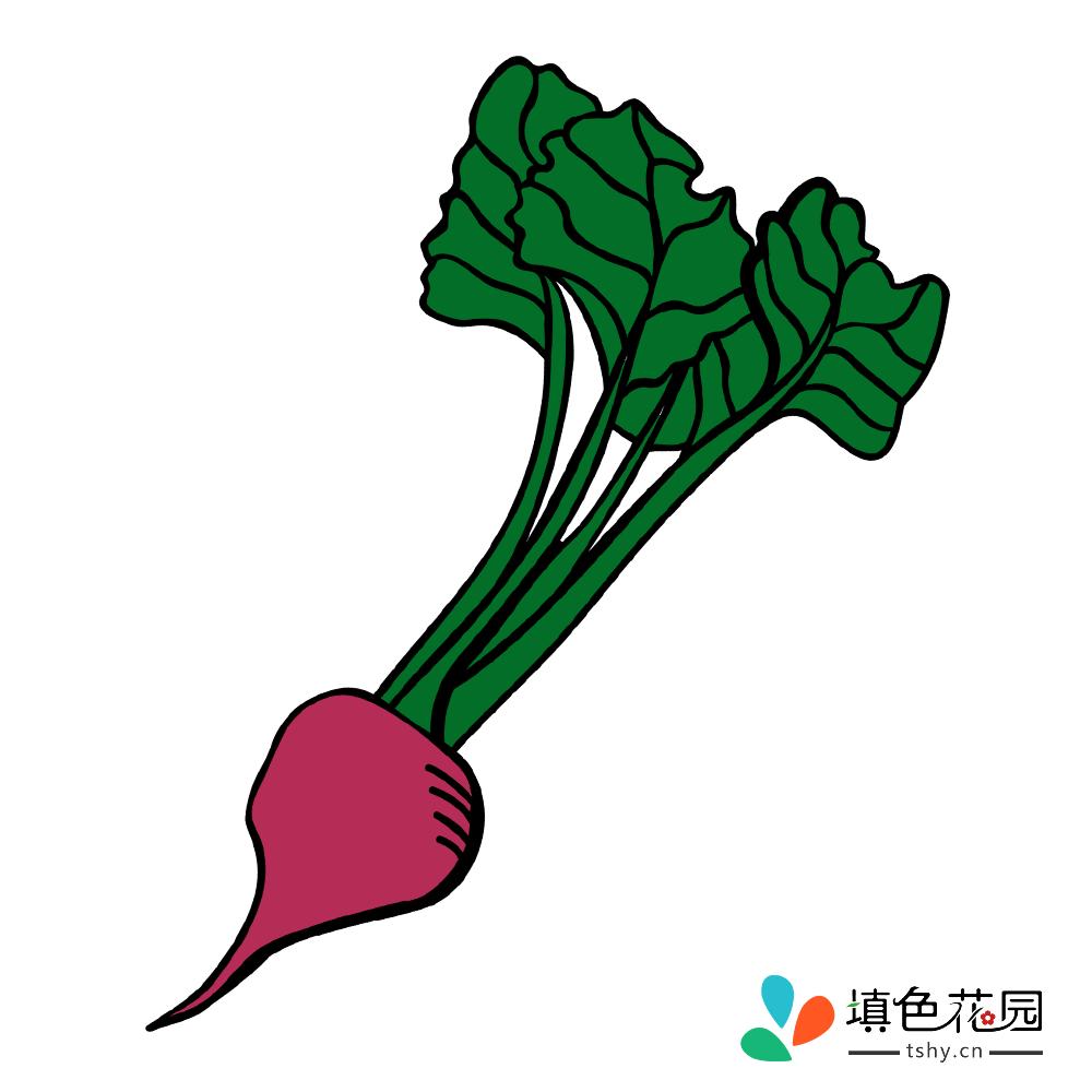 萝卜