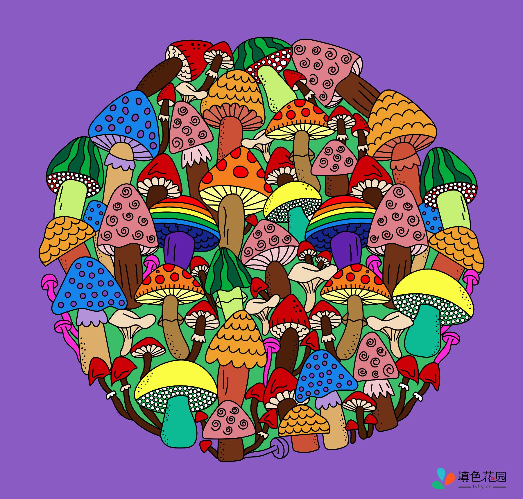 蘑菇森林