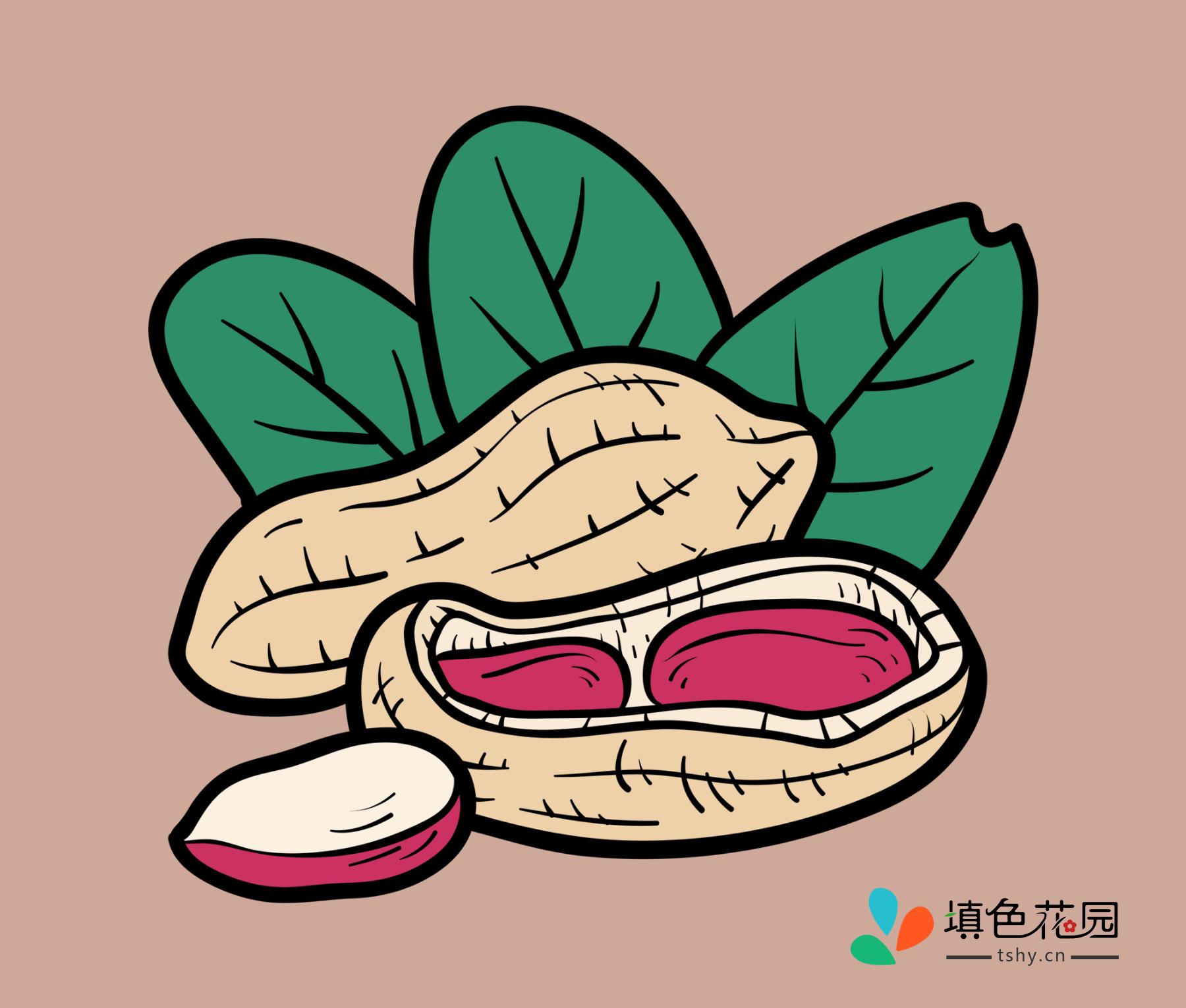 坚果-花生